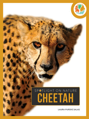 cover image of Cheetah